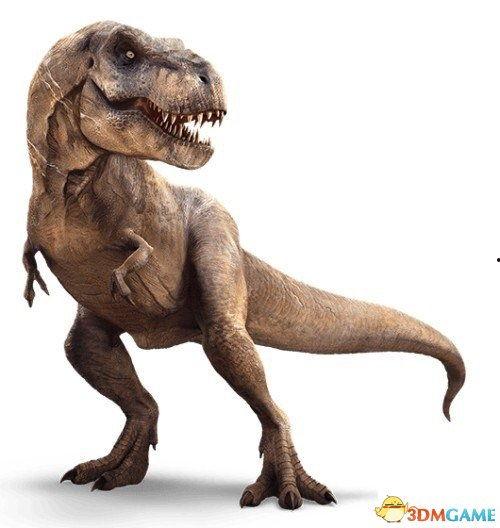 霸王龙最新爆料新闻,揭秘史前巨兽的神秘生活 第1张 霸王龙最新爆料新闻,揭秘史前巨兽的神秘生活 第1张