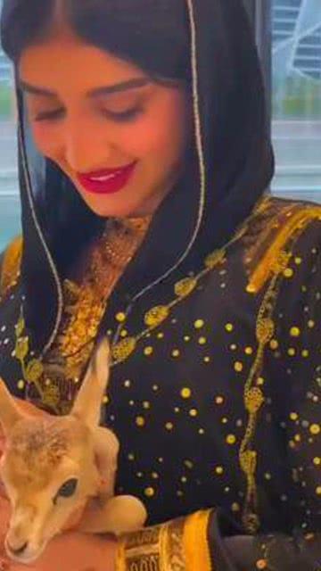 迪拜小姐姐爆料视频,迪拜生活幕后真相大曝光！