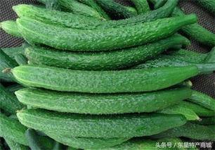 黄瓜农药爆料方法视频大全,教你轻松识别农药残留  第2张
